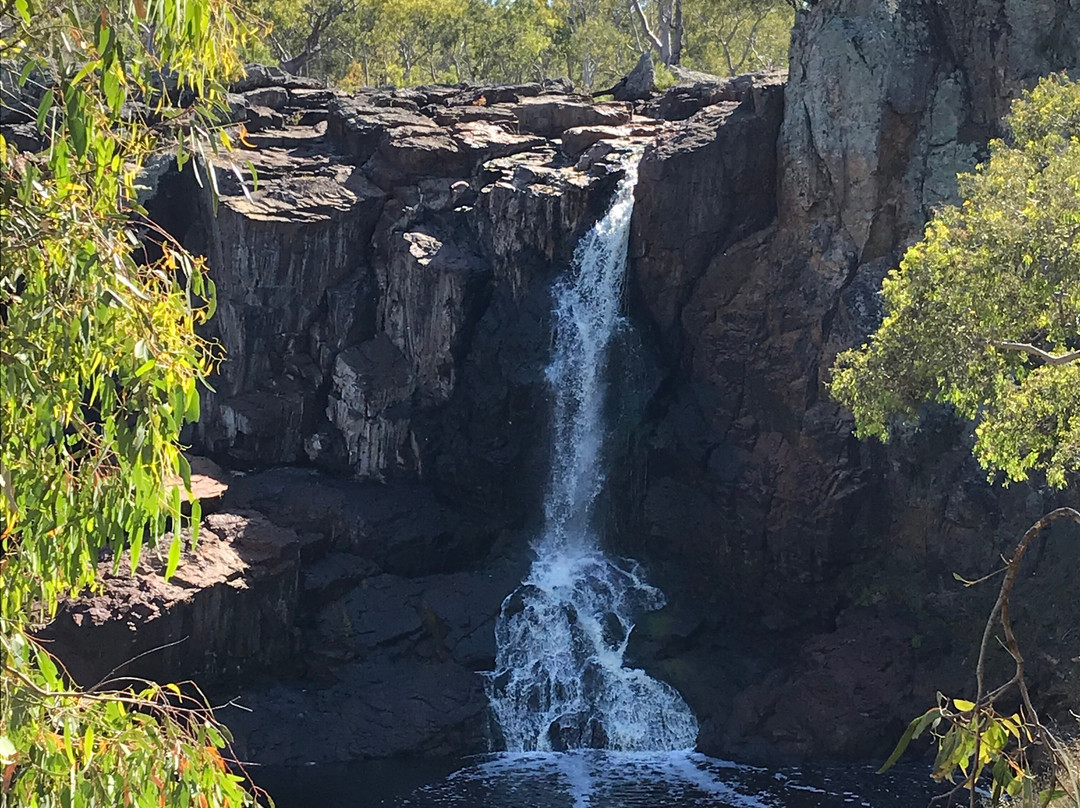 Nigretta Falls-哈密尔顿必去景点