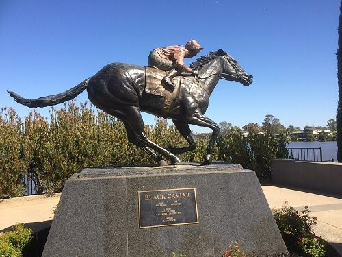 Black Caviar Statue-Nagambie必去景点