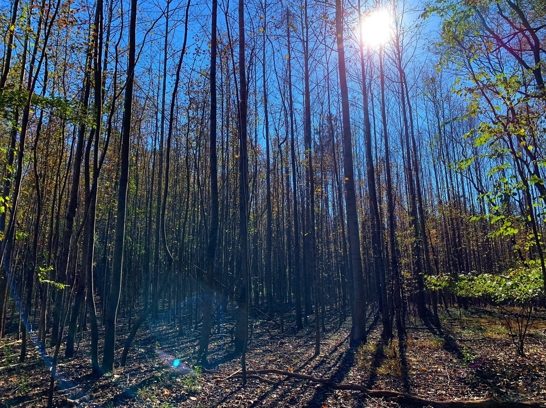 Stevens Creek Nature Center And Nature Preserve景点图片