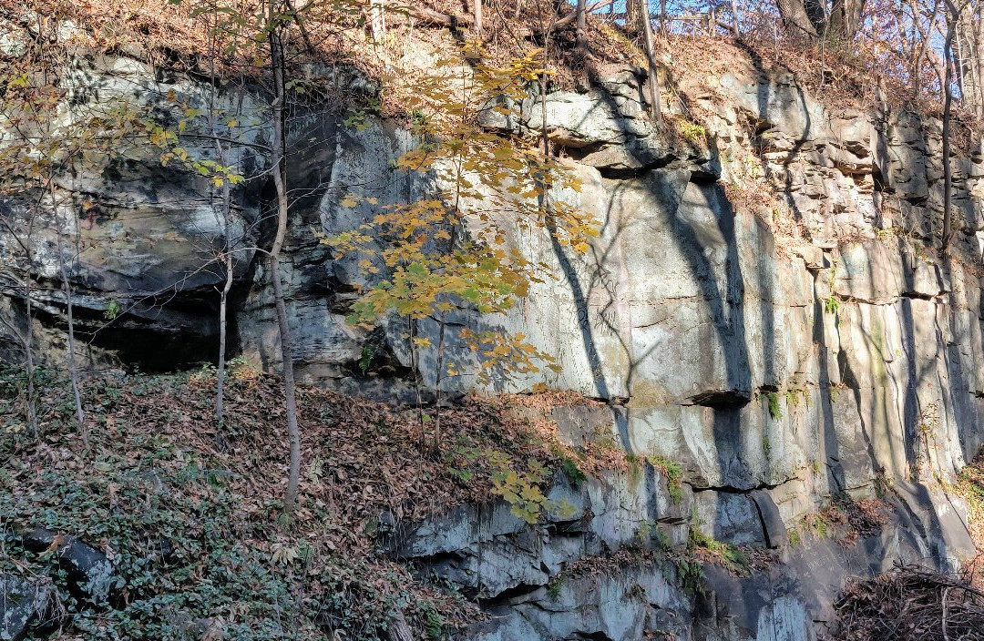 Buttermilk Falls Natural Area景点图片
