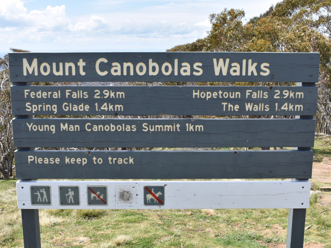 Mount Canobolas State Conservation Area景点图片