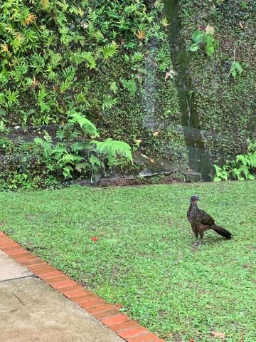 Pousada Jardim Secreto-官方