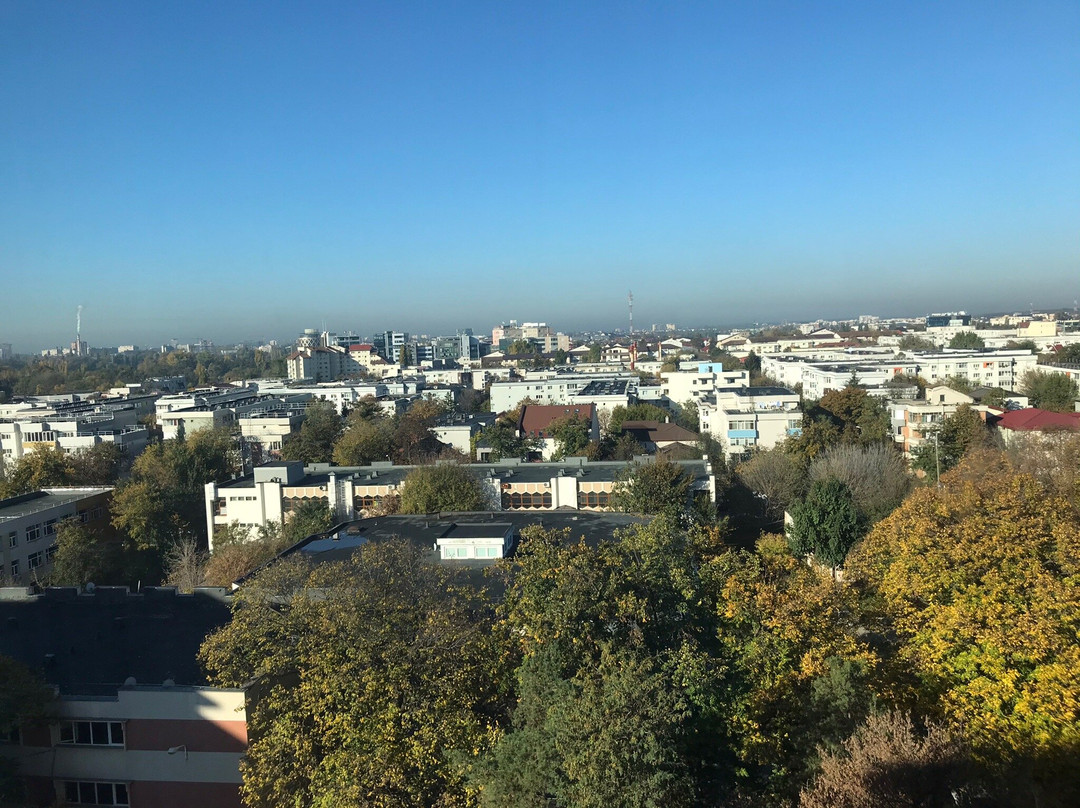 腓尼基大酒店主图