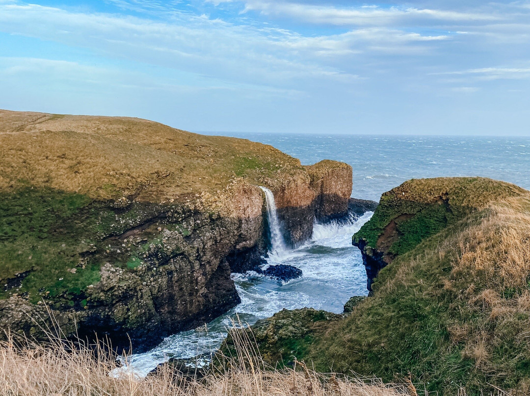 RSPB Fowlsheugh-斯通黑文必去景点