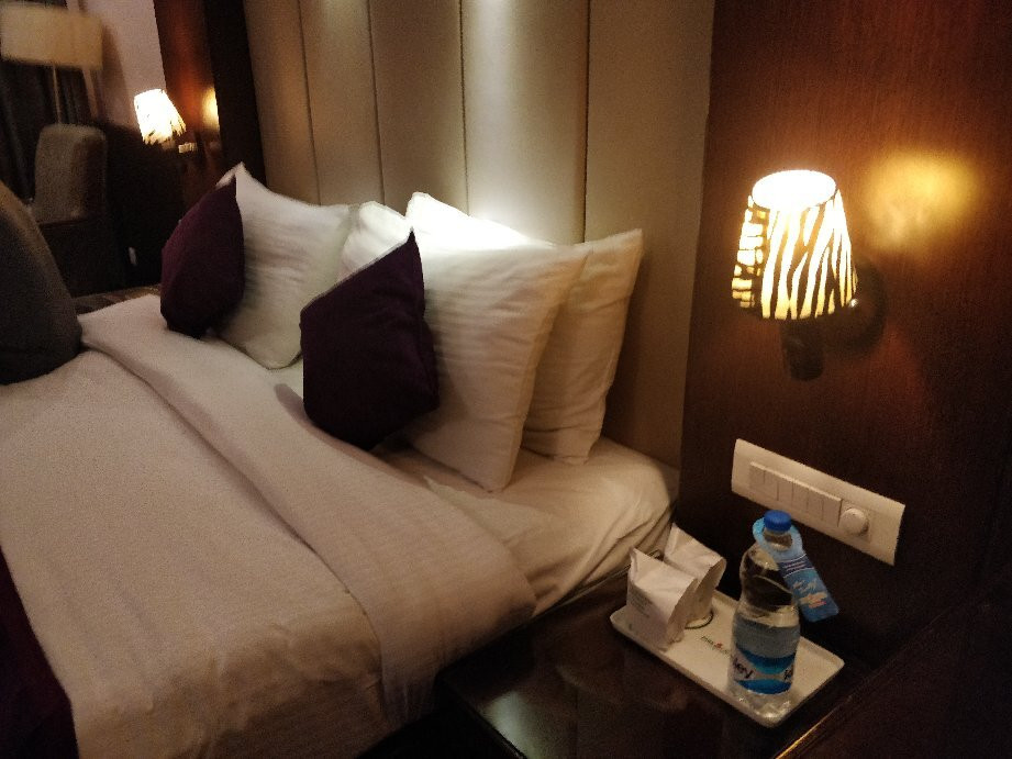 大公园宾馆主图