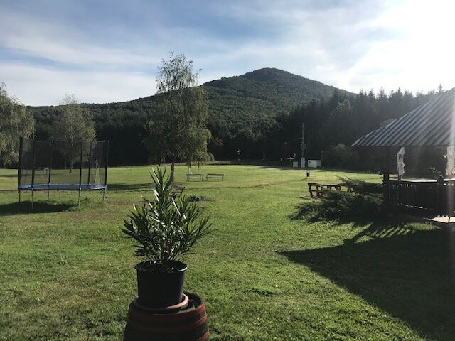 Szent Orban Erdei Hotel主图