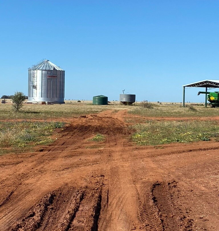 Corynnia Station主图