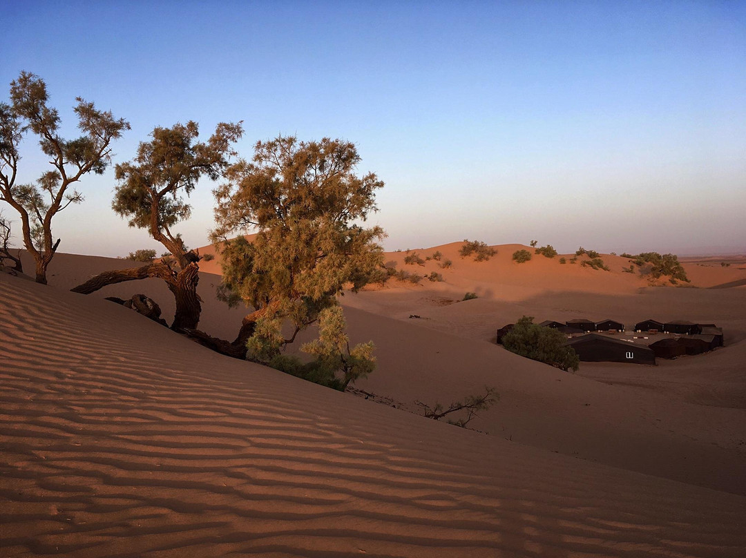 Sahara Footprints-扎古拉必去景点
