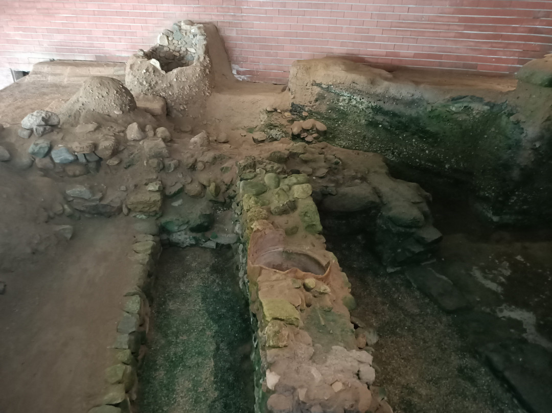 Mitropolis On-Site Museum-纳克索斯必去景点