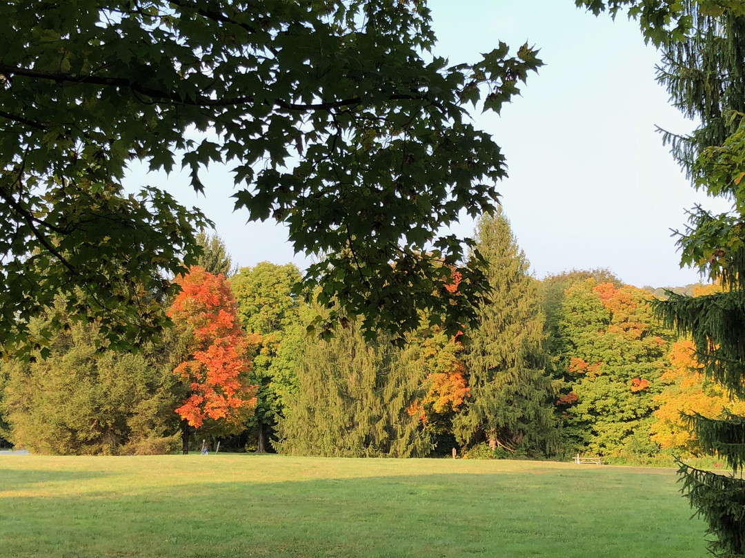 Laurel Hill State Park景点图片