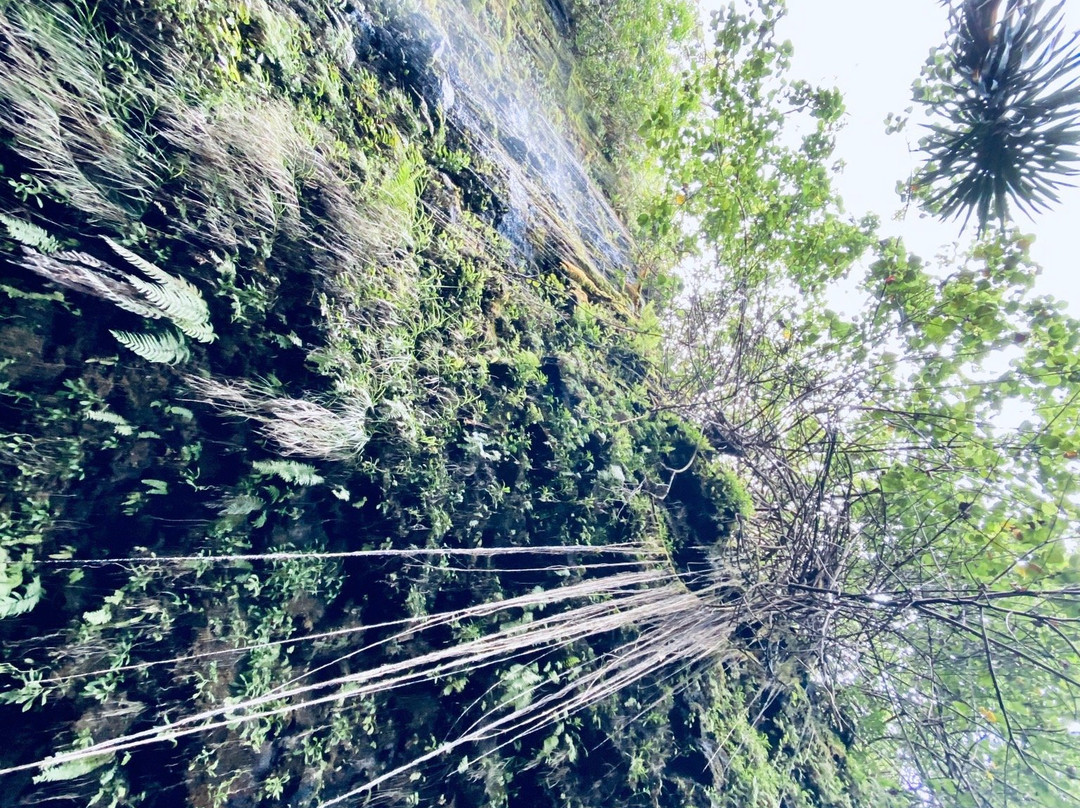 Unique Tahiti景点图片
