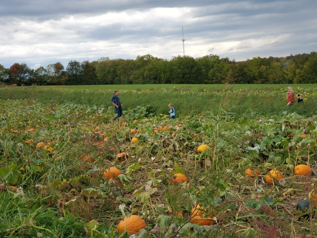 Bi-Water Farm-Georgetown必去景点