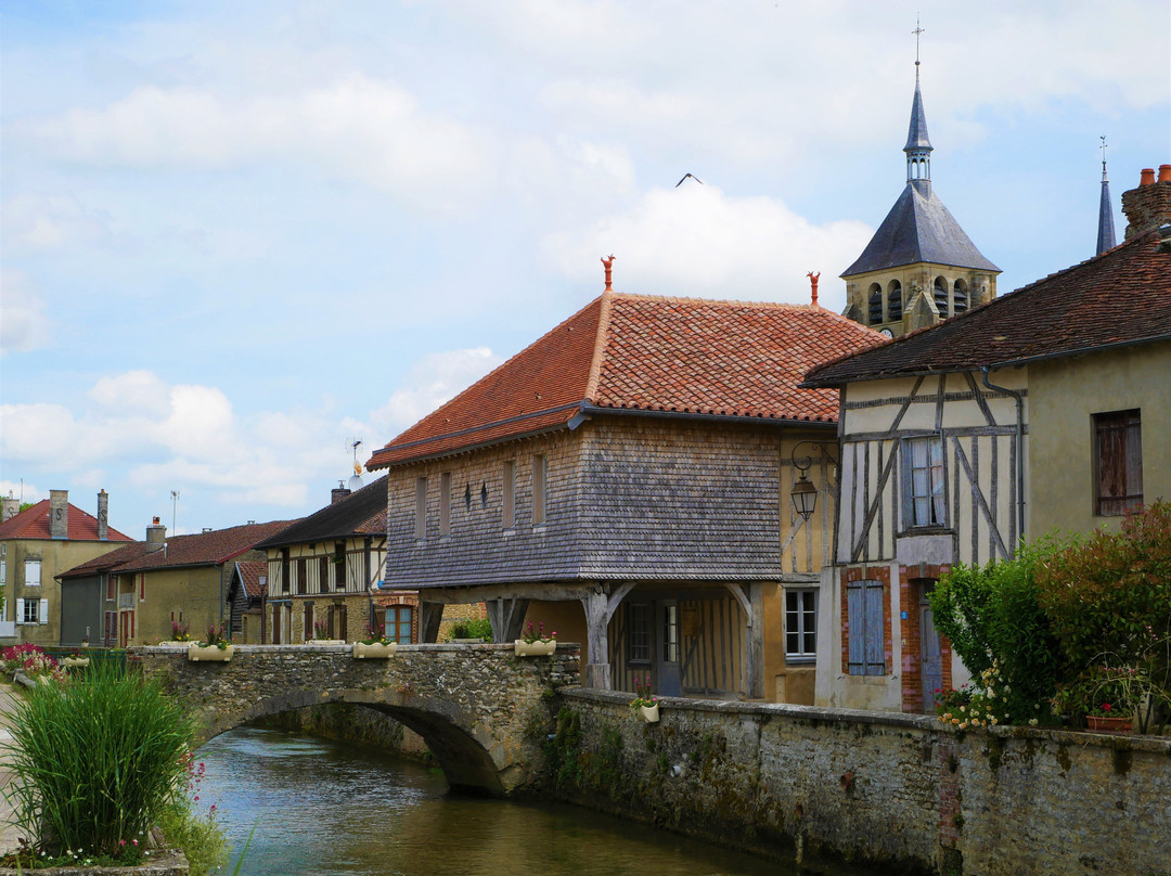 Office de Tourisme des Grands Lacs de Champagne景点图片