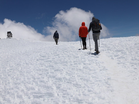 Wild Life Oasis Tours-阿鲁沙必去景点