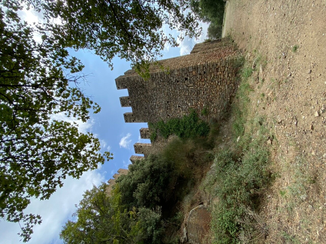 Castell de Requesens景点图片