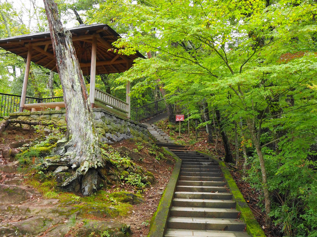 Tenryu Valley-饭田市必去景点