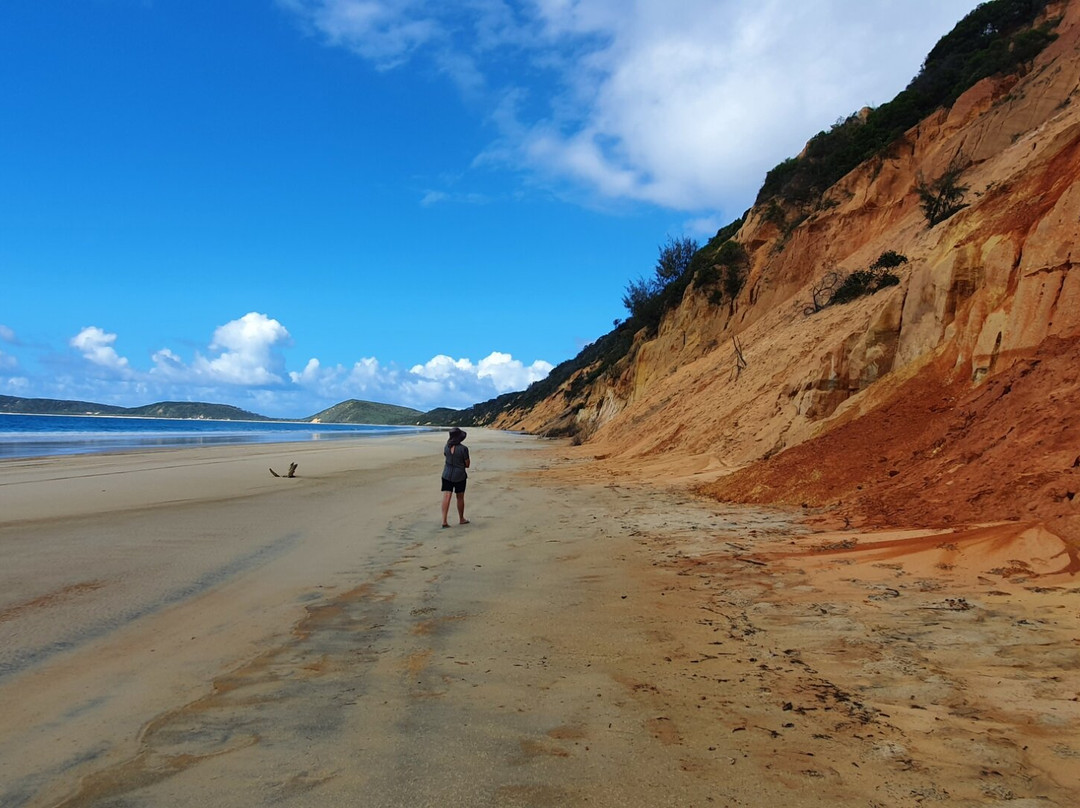 Great Beach Drive 4WD Tours-Noosa Heads必去景点