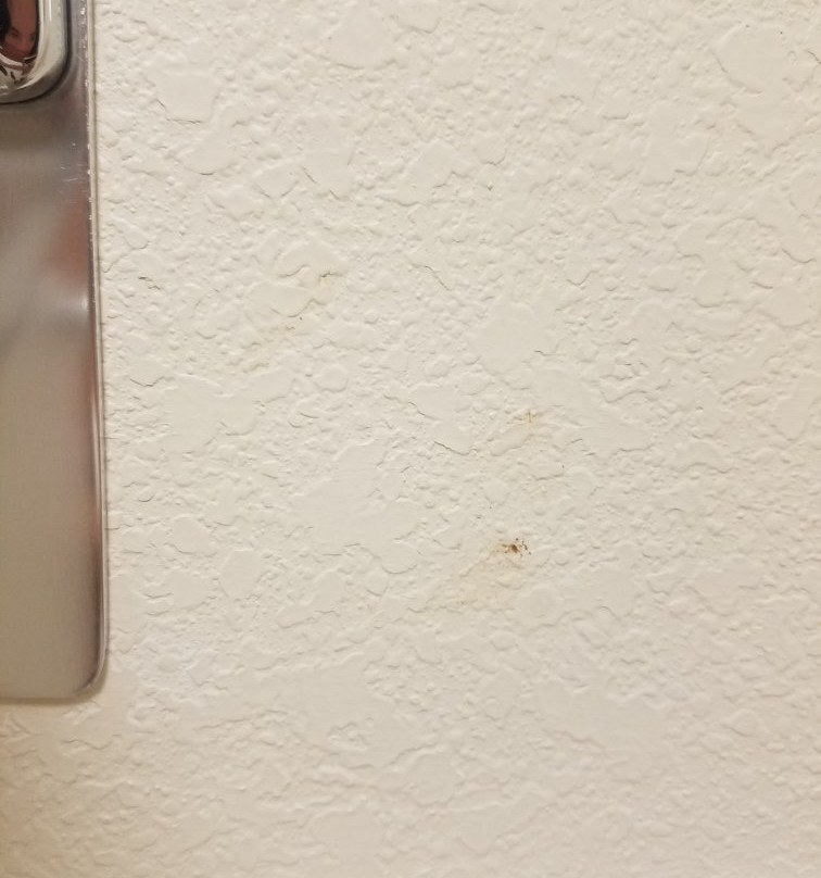 AmericInn by Wyndham Wetmore Munising主图