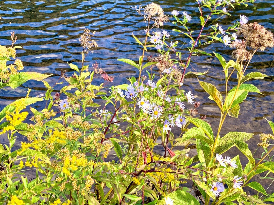 Farmington Canal Heritage Trail-Farmington必去景点