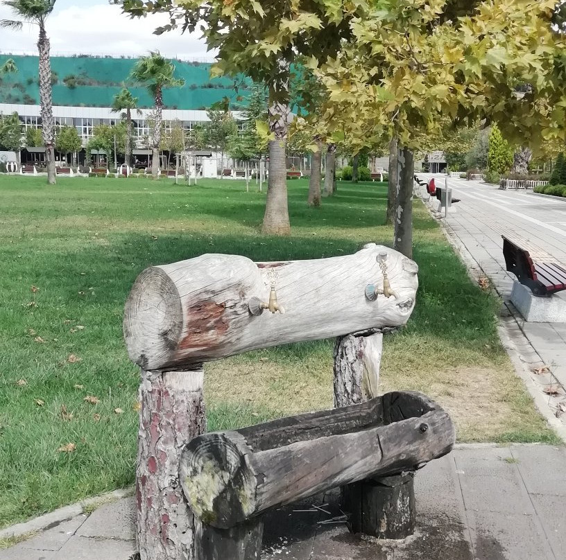 Tuzla Belediyesi Selale Egitim Parki景点图片