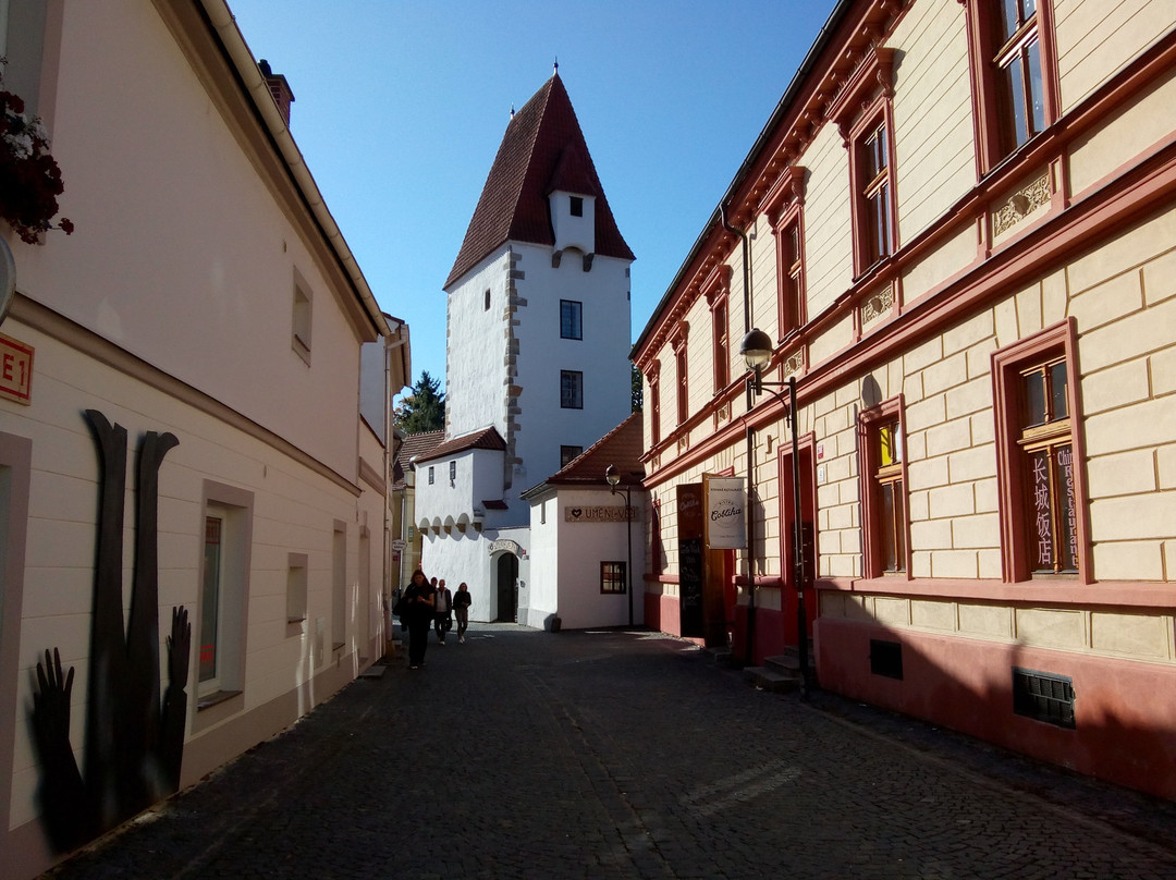 Rabenstejn Tower (Rabnstejnska Vez)景点图片