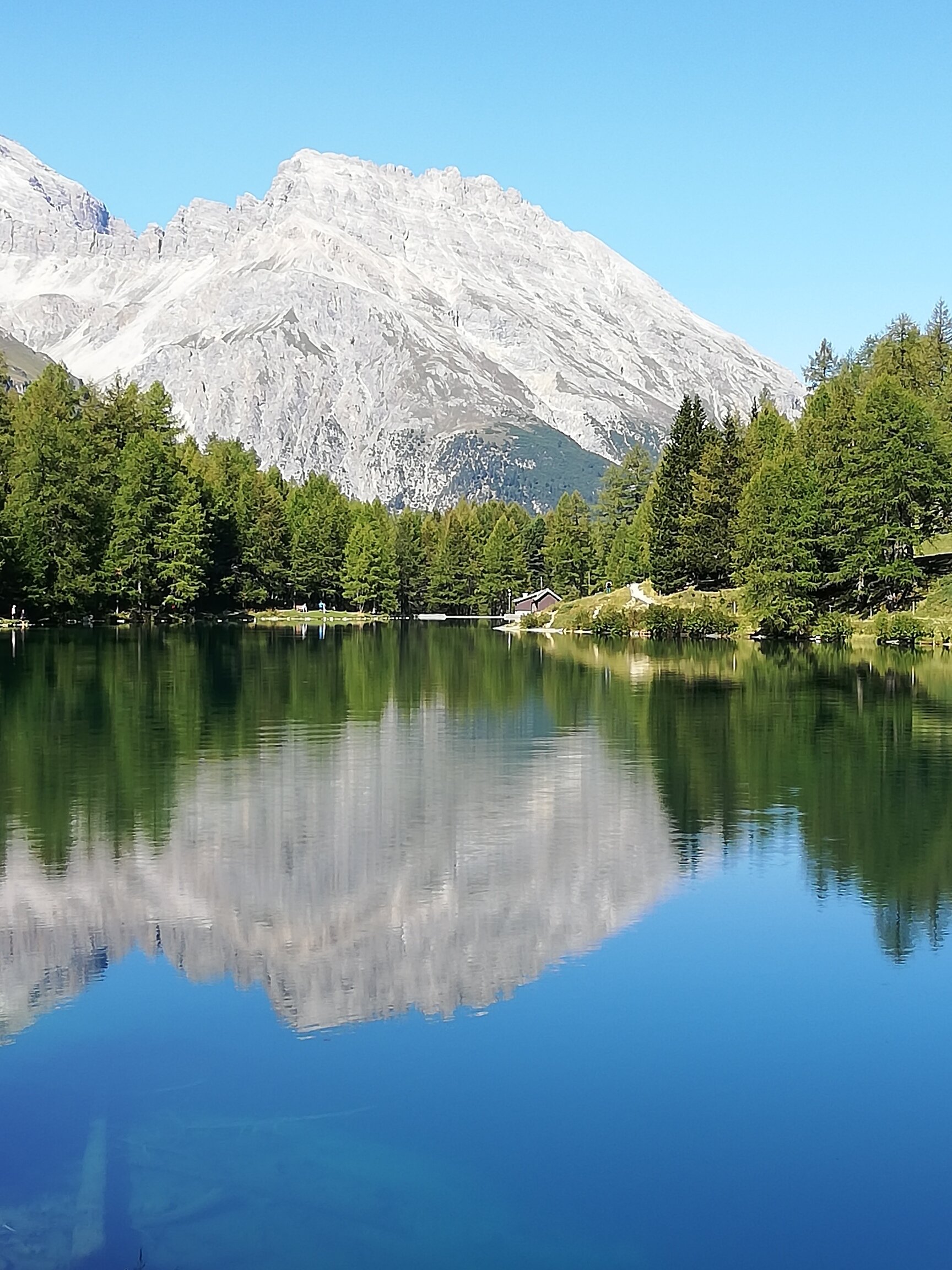 Hotel Weisses Kreuz-官方