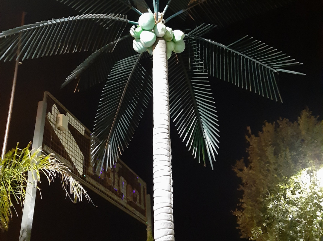 Tropical Hotel主图