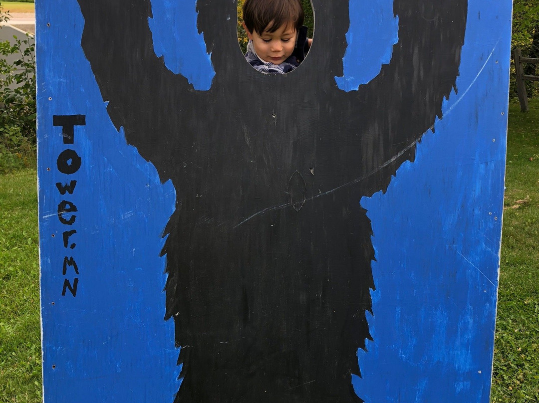 The Tower-Soudan Historical Society Historical Center-Tower必去景点