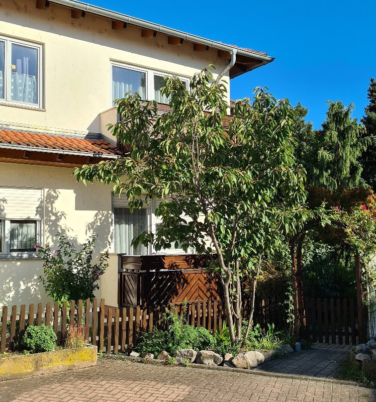 皇家宫廷酒店主图