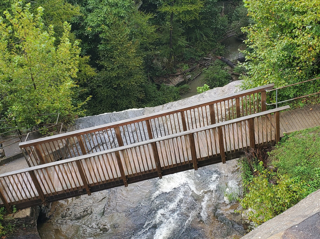 Broke Leg Falls-Wellington必去景点