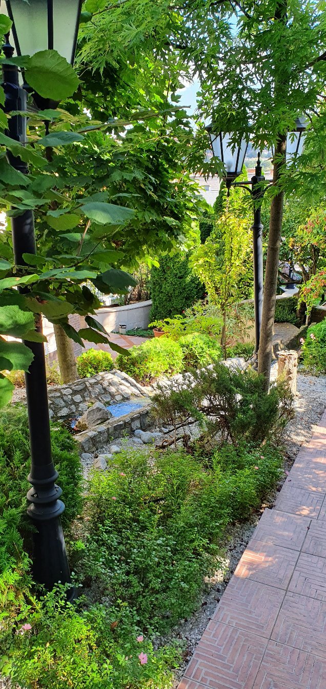 Erla Villa boutique hotel-官方