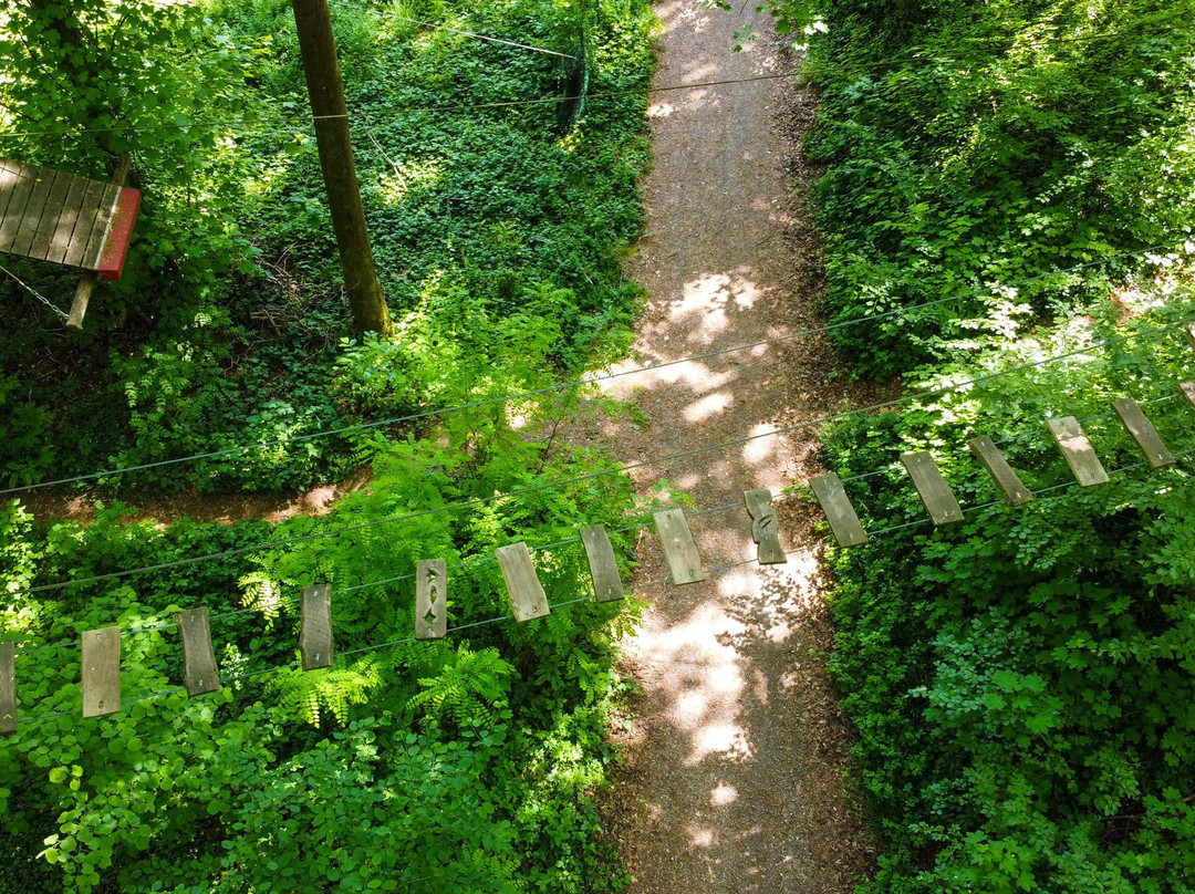 Waldseilpark Karlsruhe景点图片