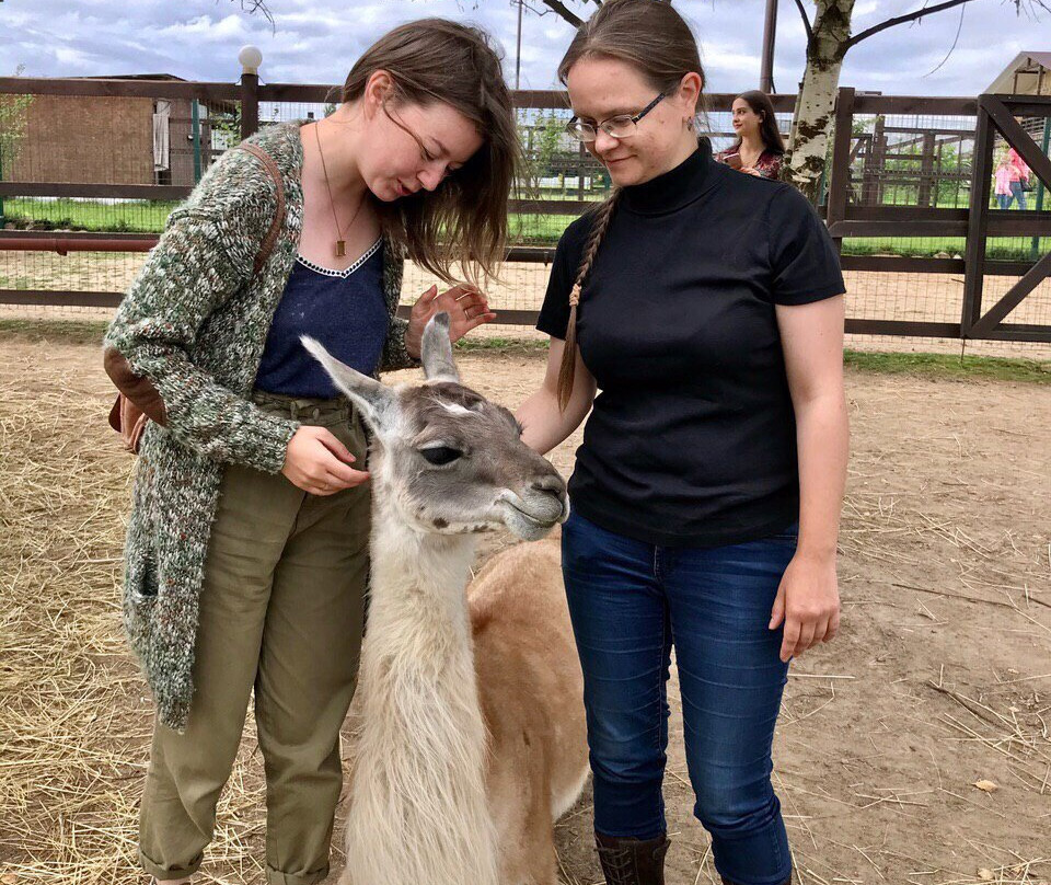 Russian Alpaca Farm景点图片