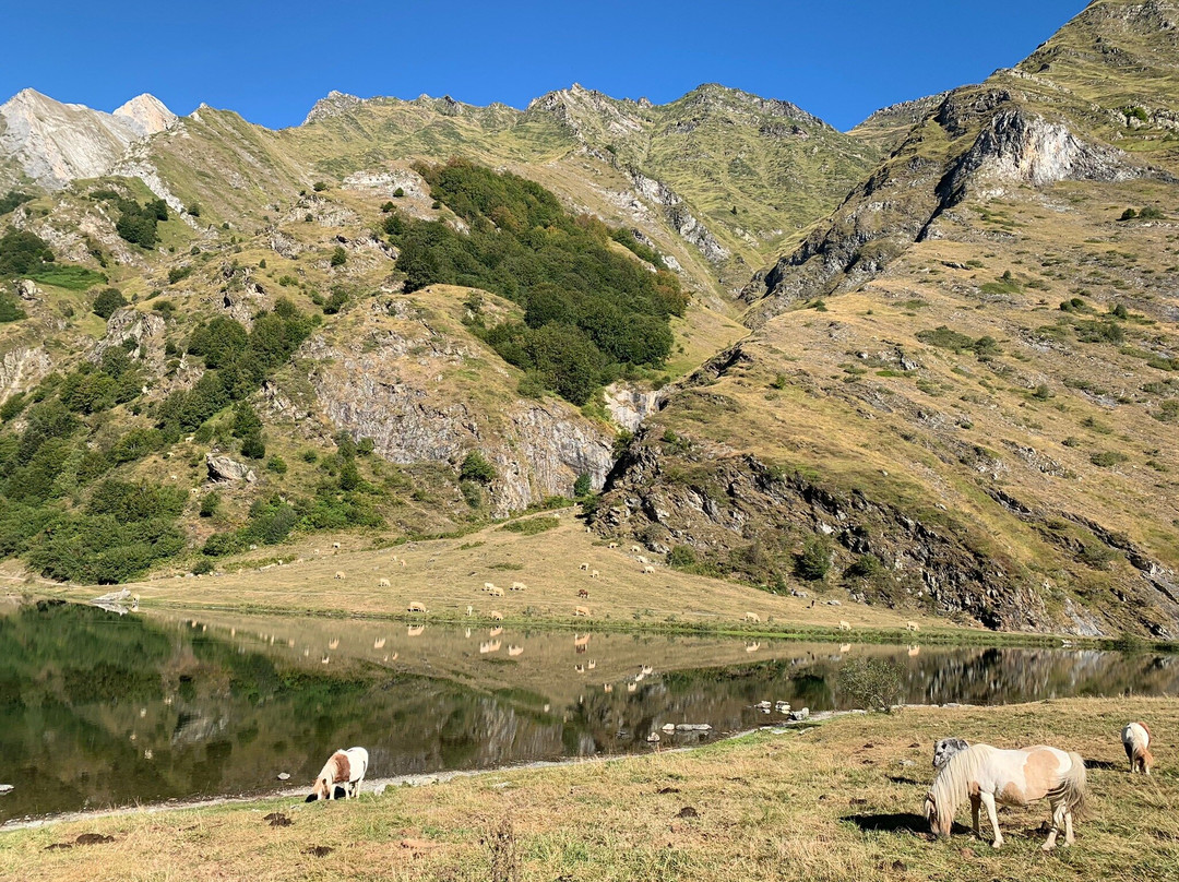 Lac D'Estaing-Estaing必去景点