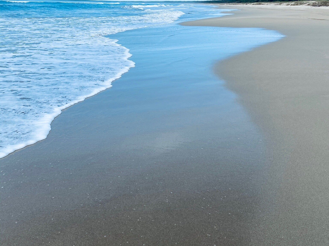 Seven Mile Beach National Park-Shoalhaven必去景点