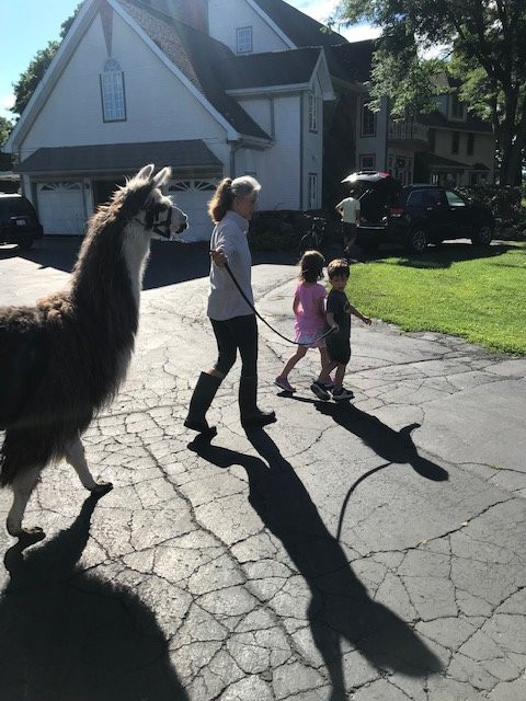 The Willowicke Inn主图