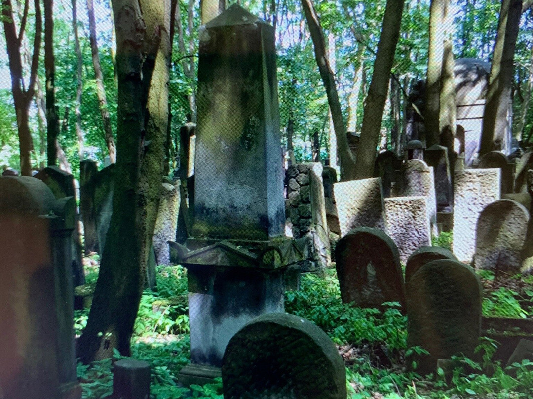 Jewish Cemetery (Cmentarz Zydowski)景点图片
