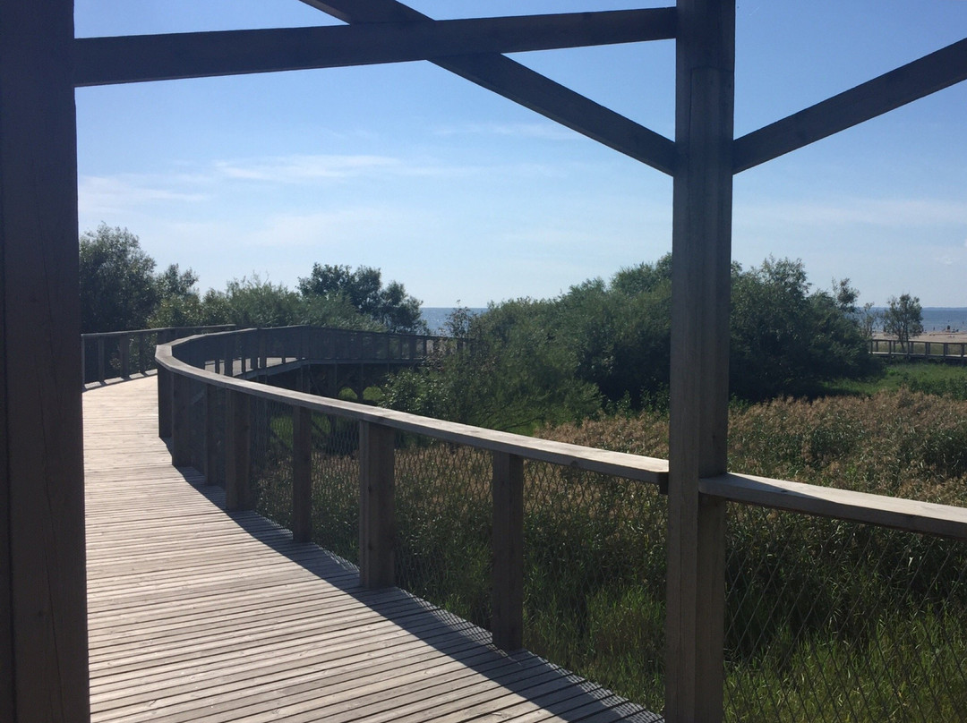Pärnu Adventure Park-派尔努必去景点