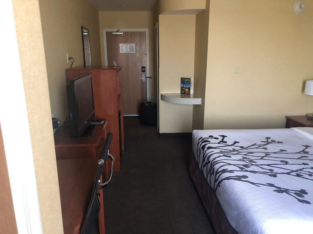 Sleep Inn & Suites主图