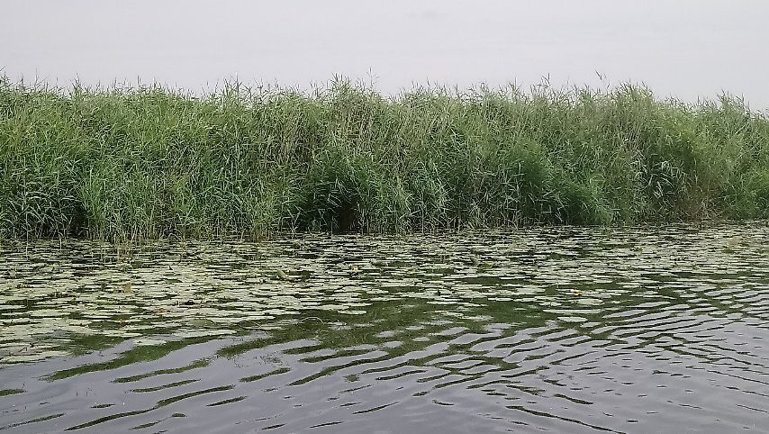 Friedrichstädter Grachtenfahrt景点图片