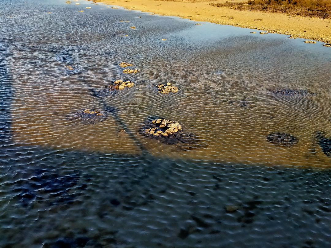 Lake Thetis-塞万提斯必去景点
