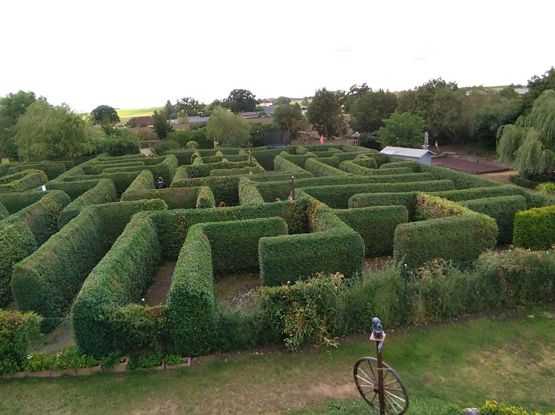 Irrgarten Bollewick景点图片