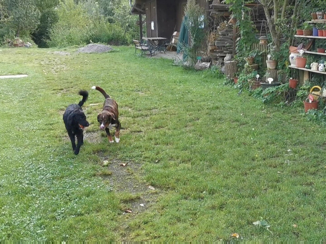 斯坦恩舒乐霍夫酒店主图