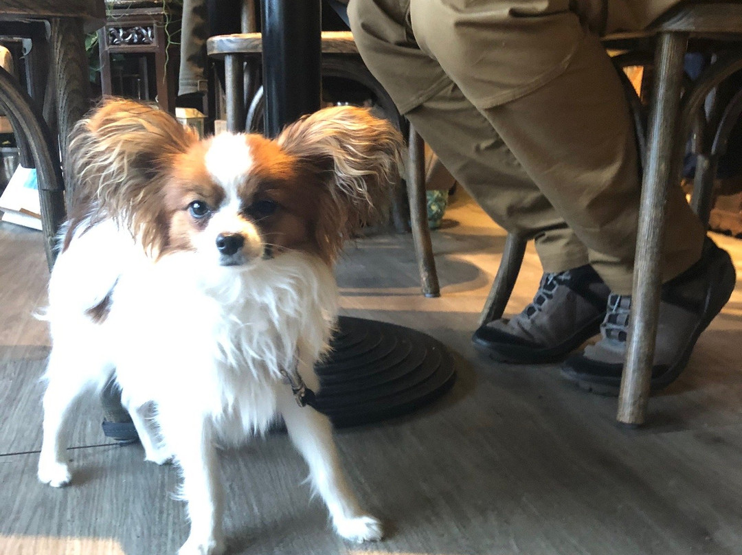 Blomasetrid Guesthouse主图