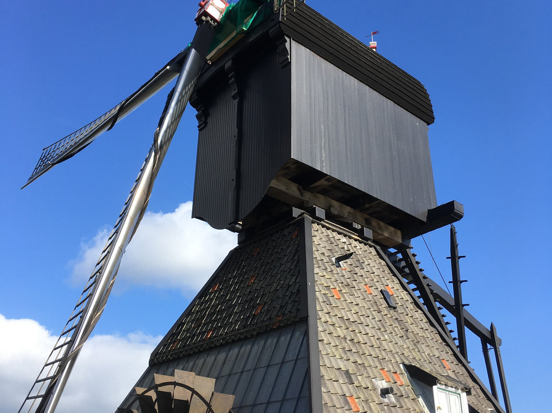 Museum Molen Blokweer景点图片