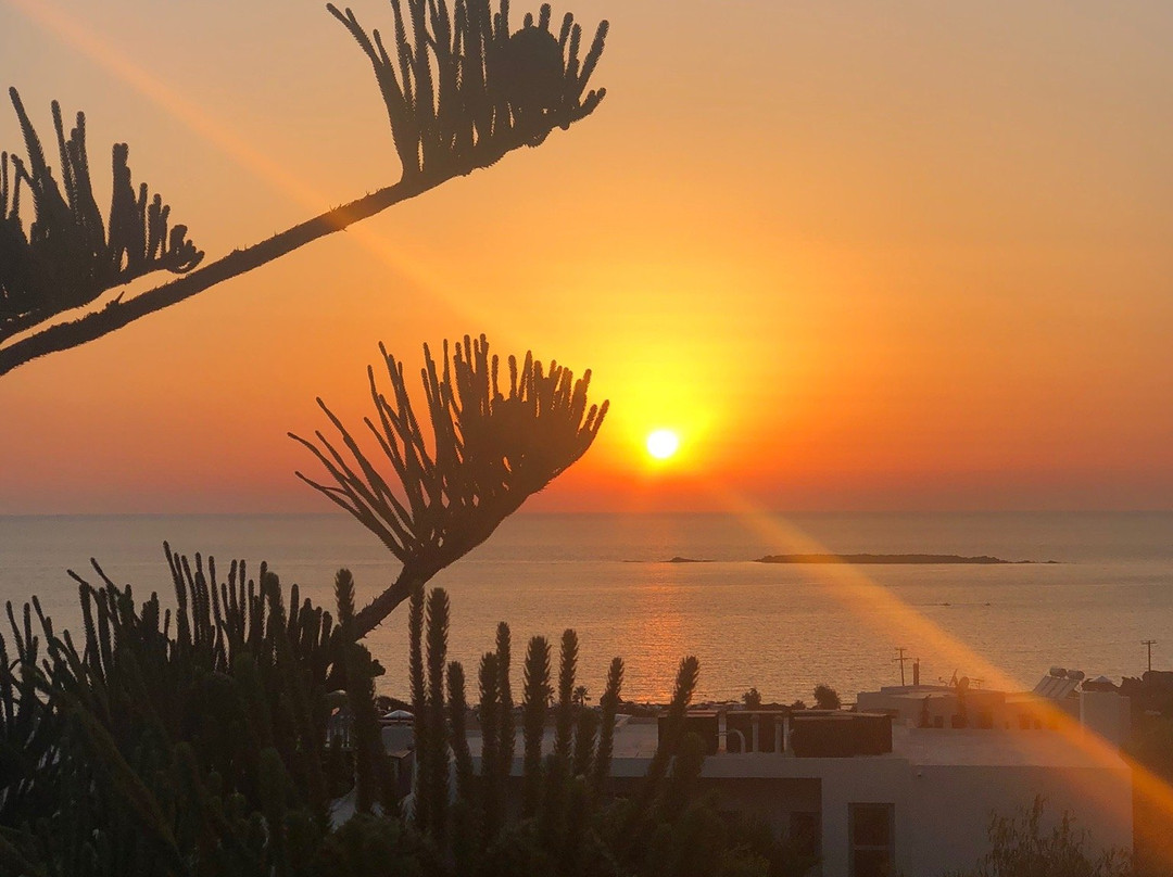 Anastasia & Stathis Bed and Breakfast主图