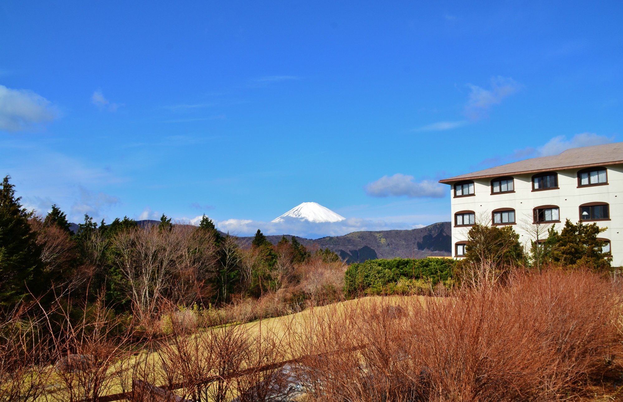 绿色广场酒店-酒店景观