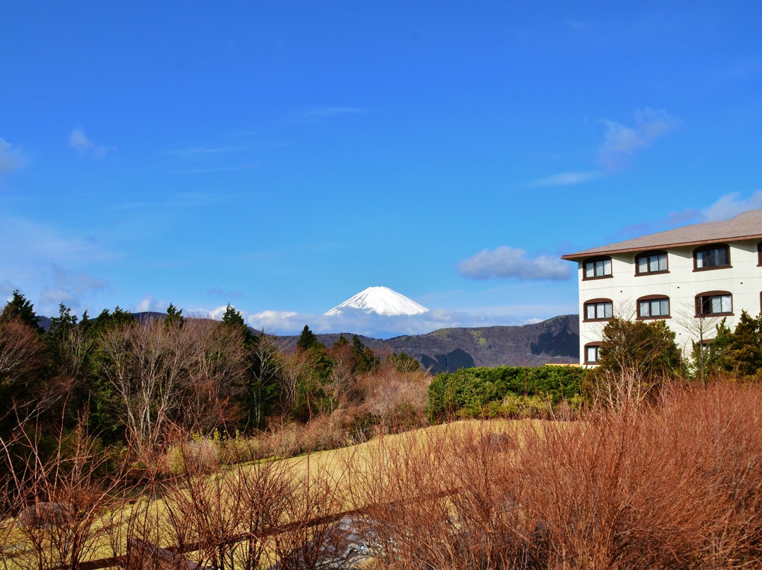 绿色广场酒店主图