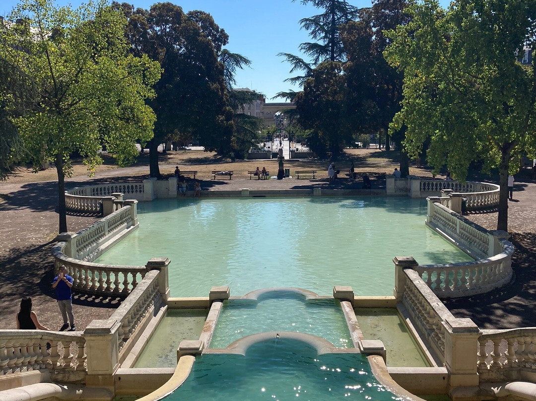 Jardin Darcy景点图片