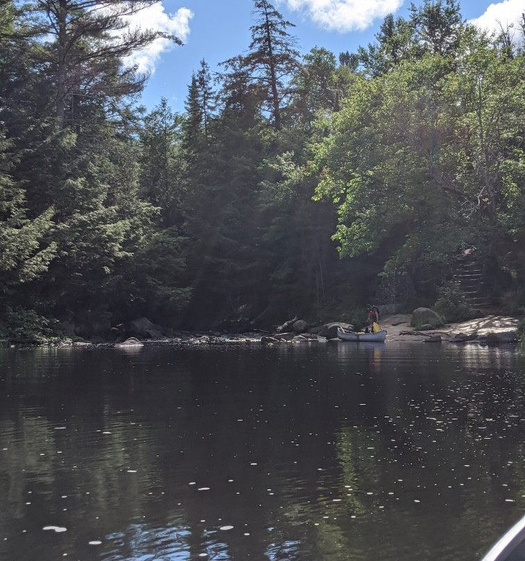 Driftwood Paddle Algonquin景点图片